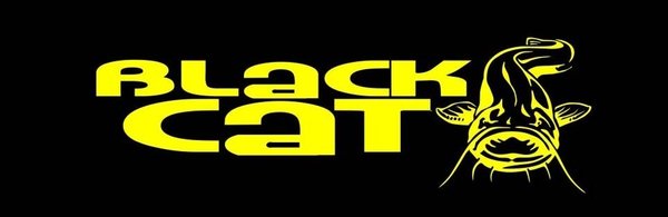 BLACK CAT BC 2400 MOTOR ELÉCTRICO